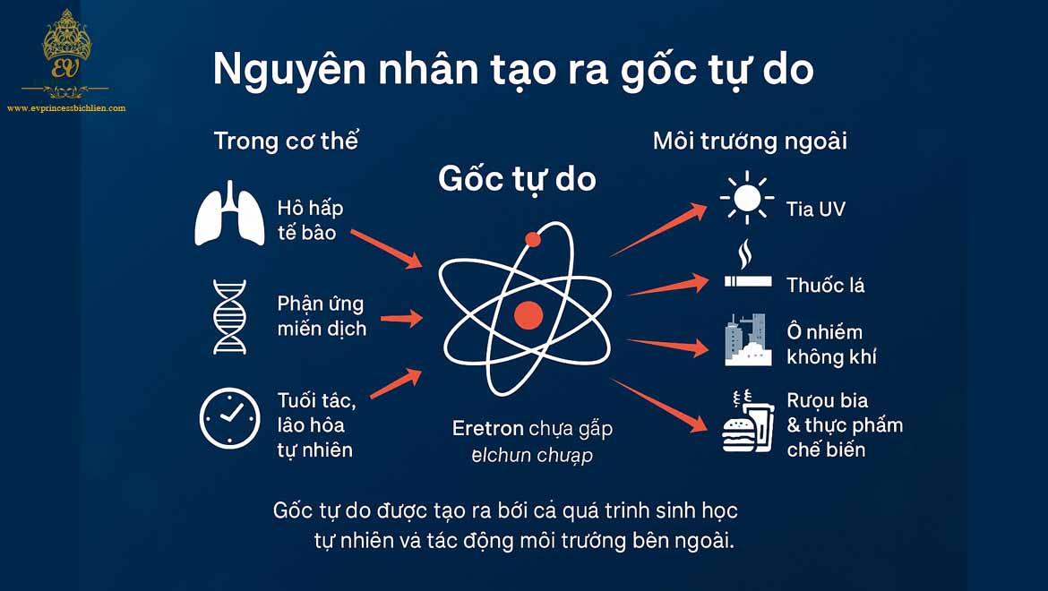 goc tu do la gi