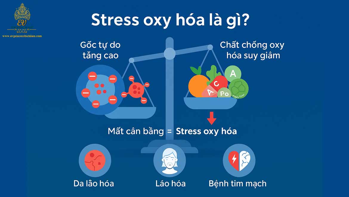 goc tu do la gi