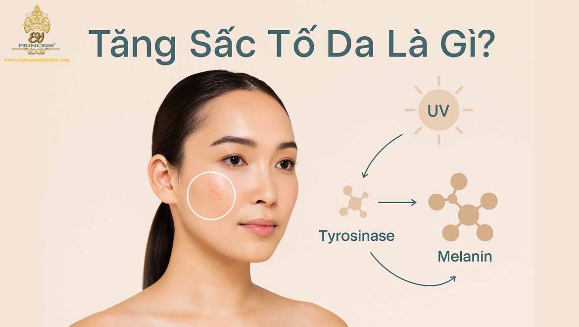 tang sac to da la gi