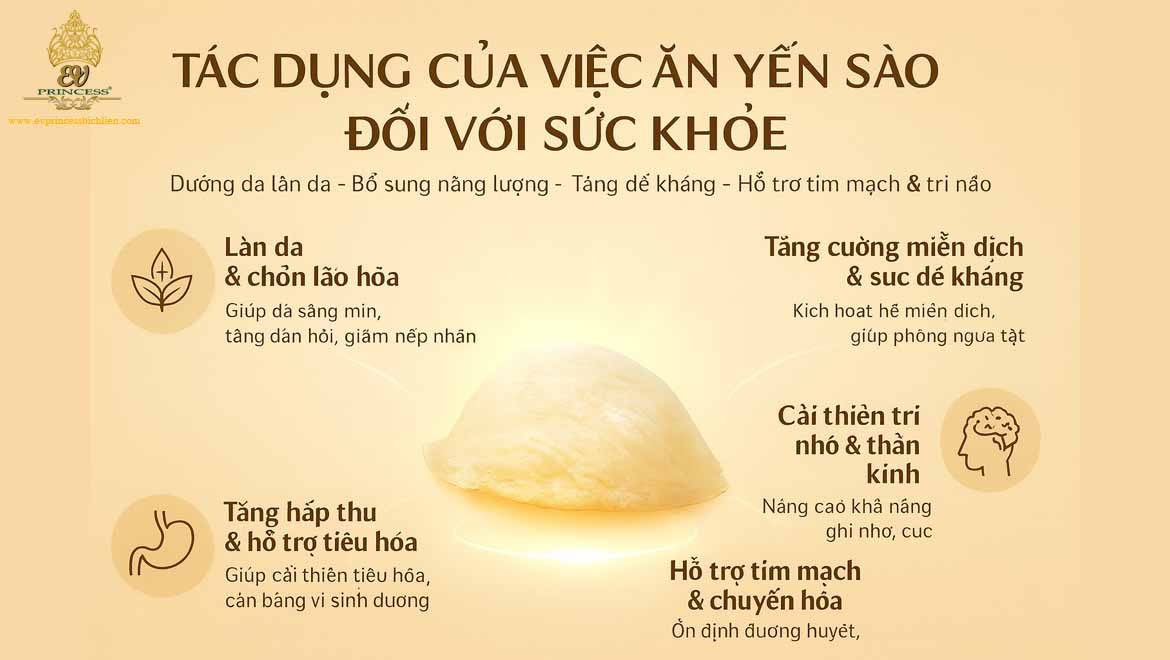 tac dung cua viec an yen sao