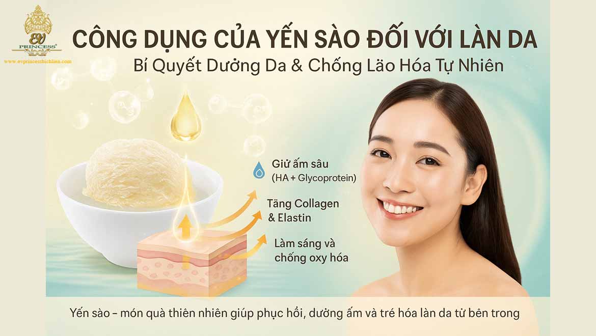 cong dung cua yen sao doi voi lan da
