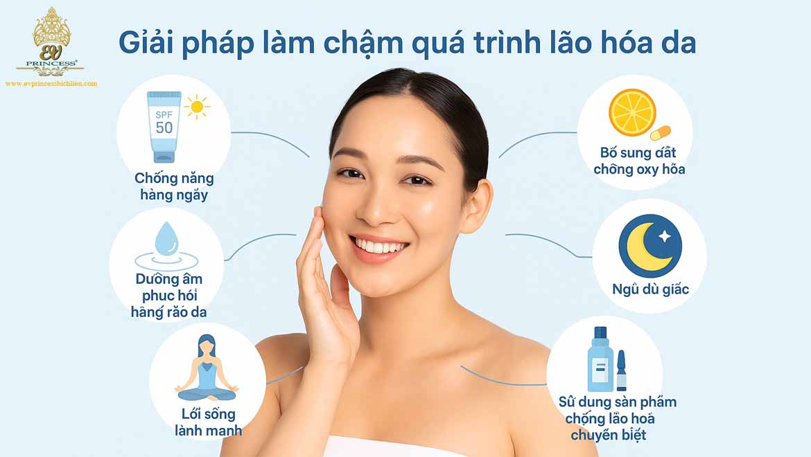 nguyen nhan gay lao hoa da