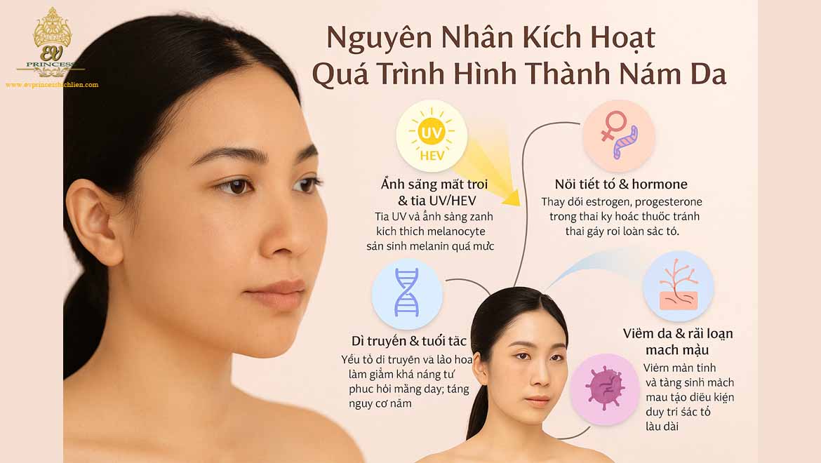 qua trinh hinh thanh nam da