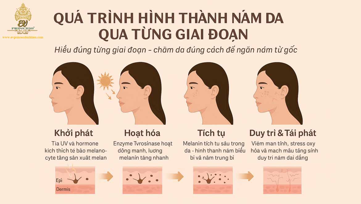 qua trinh hinh thanh nam da