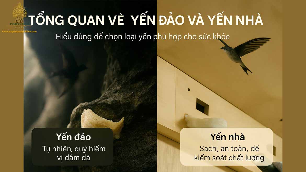 yen dao va yen nha loai nao tot hon