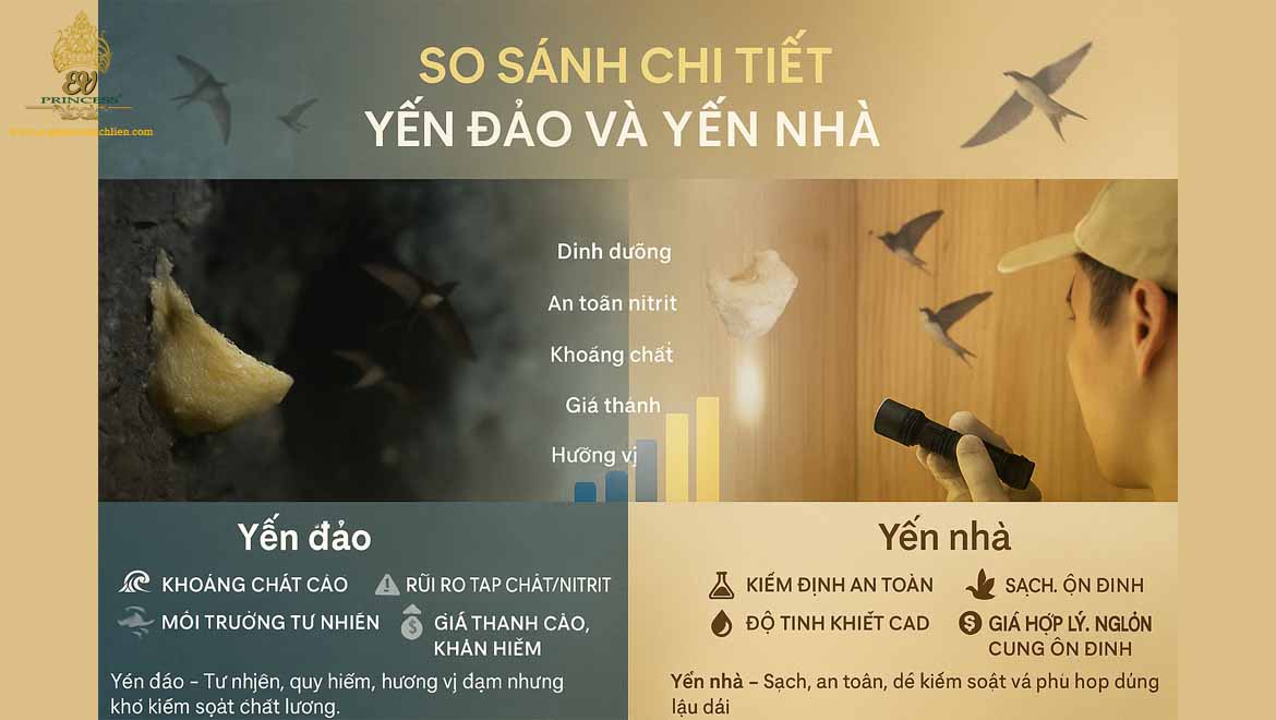 yen dao va yen nha loai nao tot hon