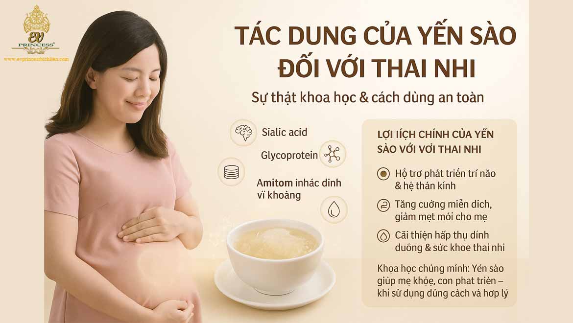 tac dung cua yen sao doi voi thai nhi