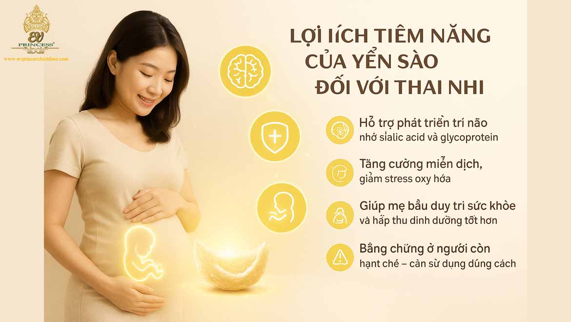 tac dung cua yen sao doi voi thai nhi