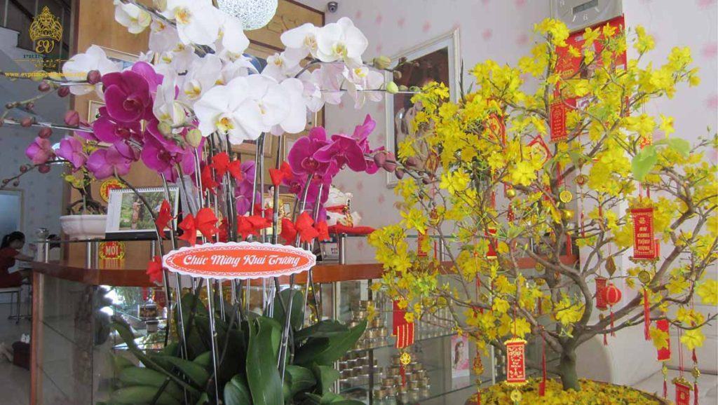 tuyen nhan vien cham soc da gap