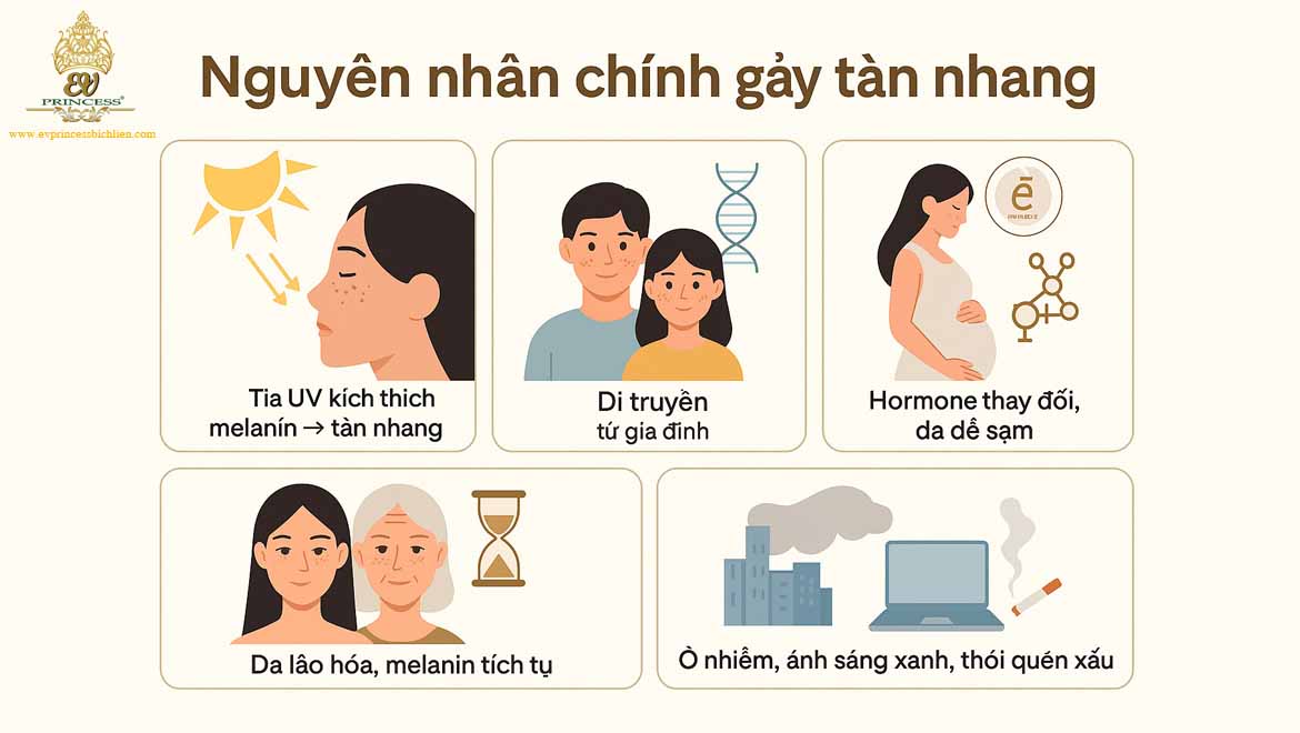 nguyen nhan gay tan nhang