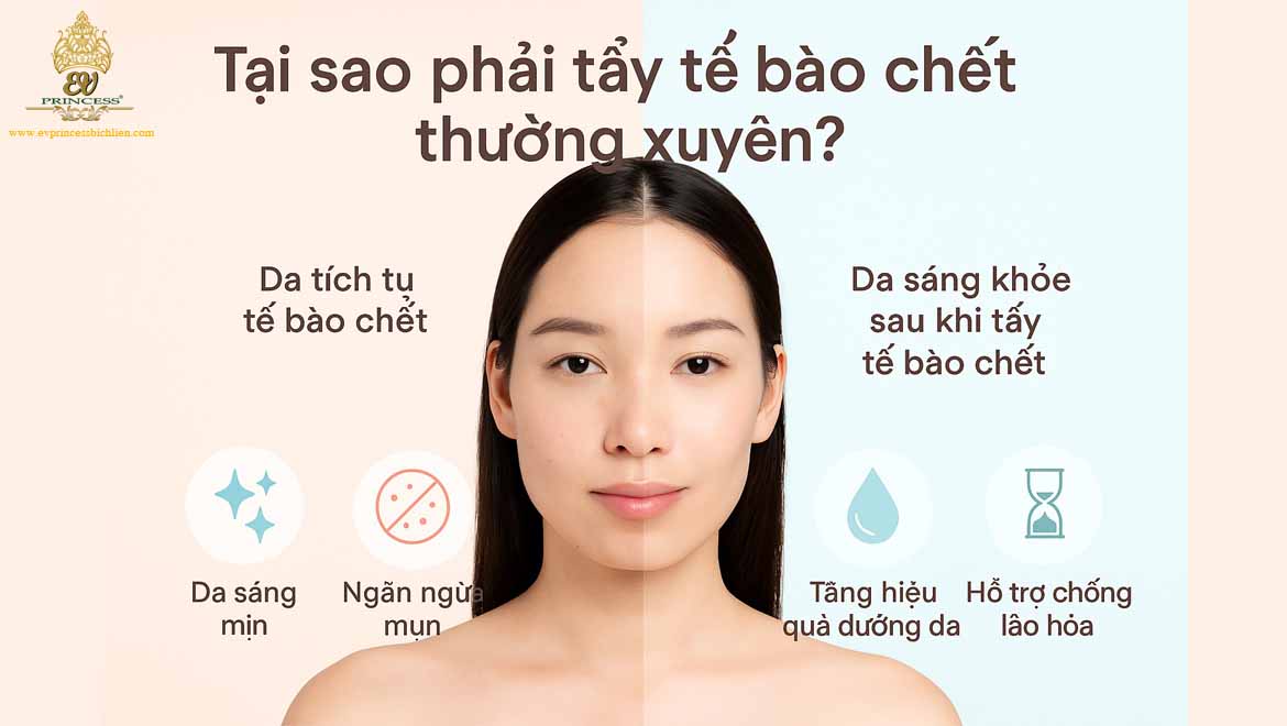 tam quan trong cua viec tay te bao chet