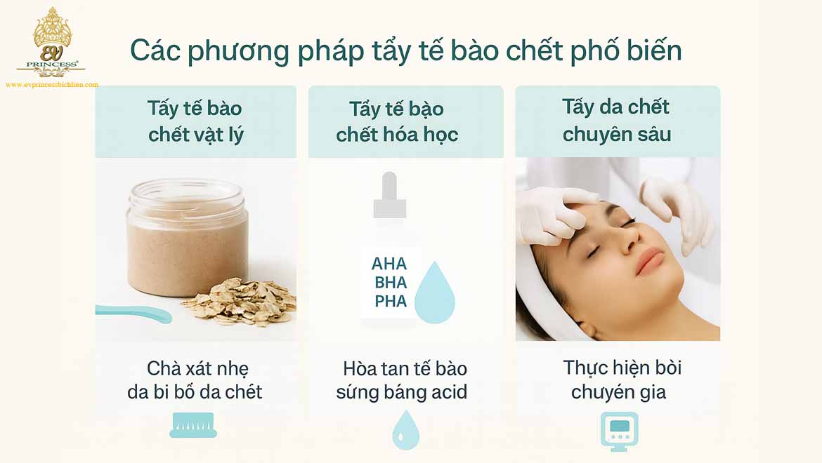 tam quan trong cua viec tay te bao chet