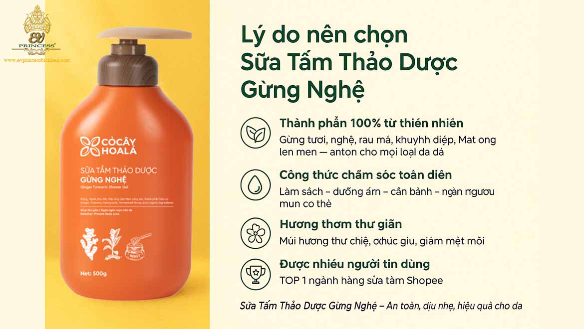 sua tam thao duoc gung nghe