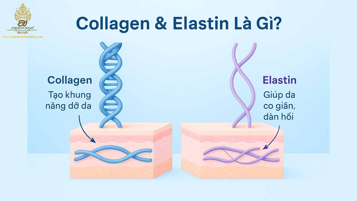 cach bo sung collagen va elastin