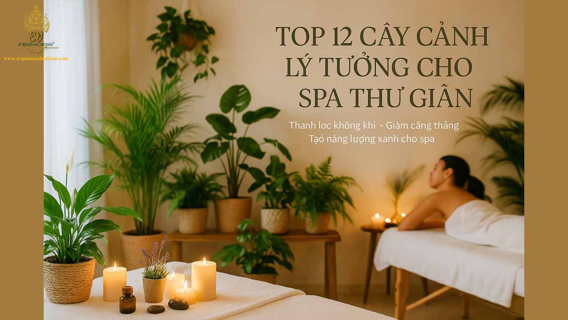 cay canh spa thu gian