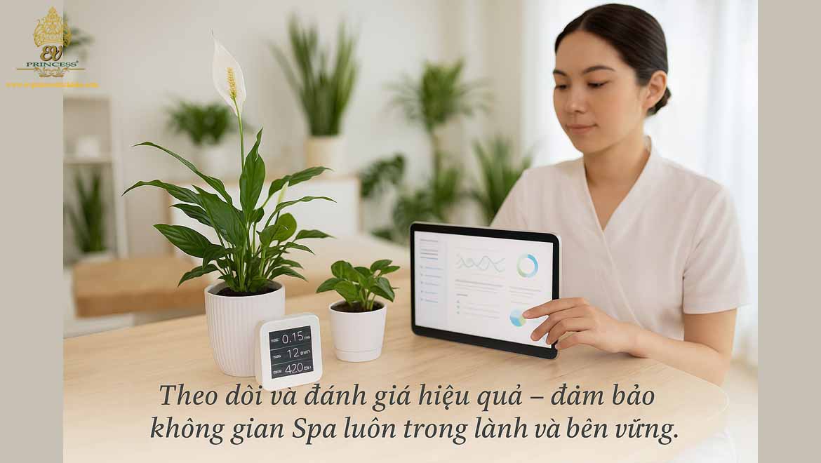 cay loc khong khi cho spa