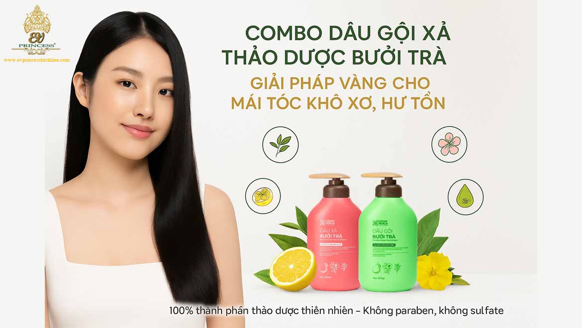combo dau goi xa thao duoc buoi tra