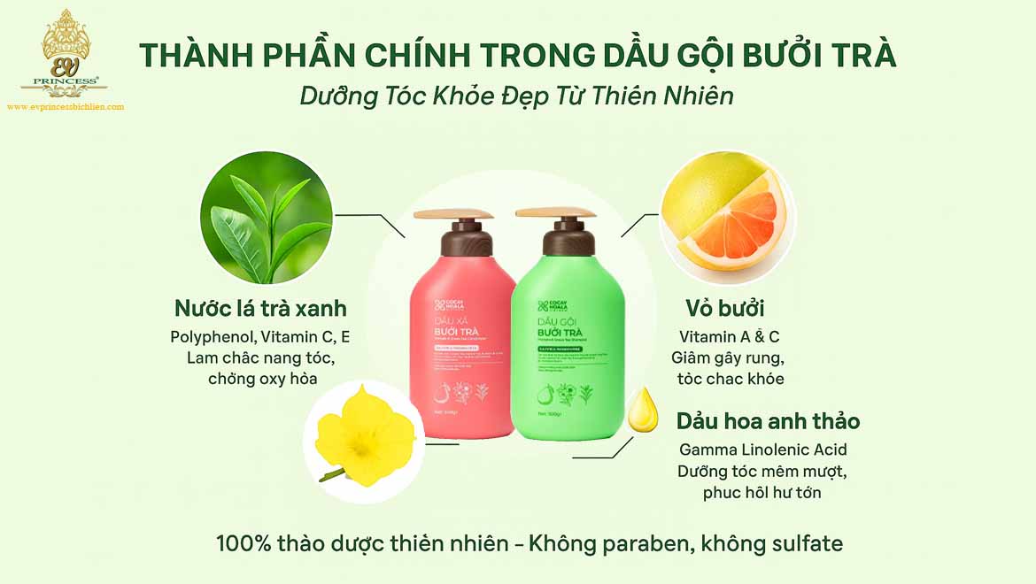 combo dau goi xa thao duoc buoi tra