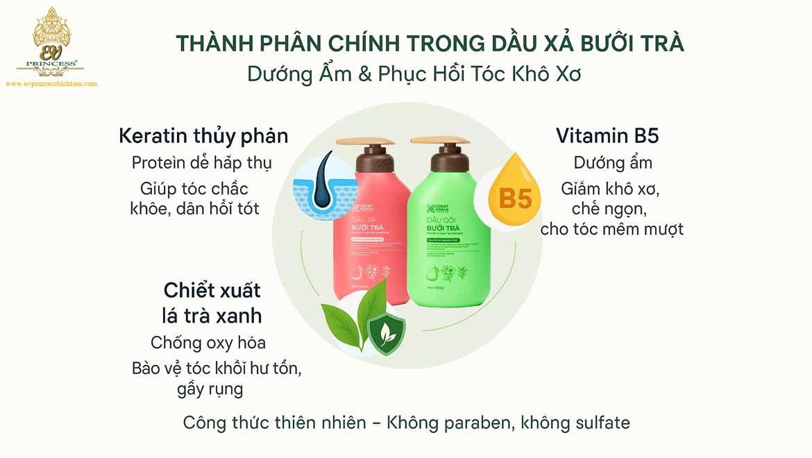 combo dau goi xa thao duoc buoi tra