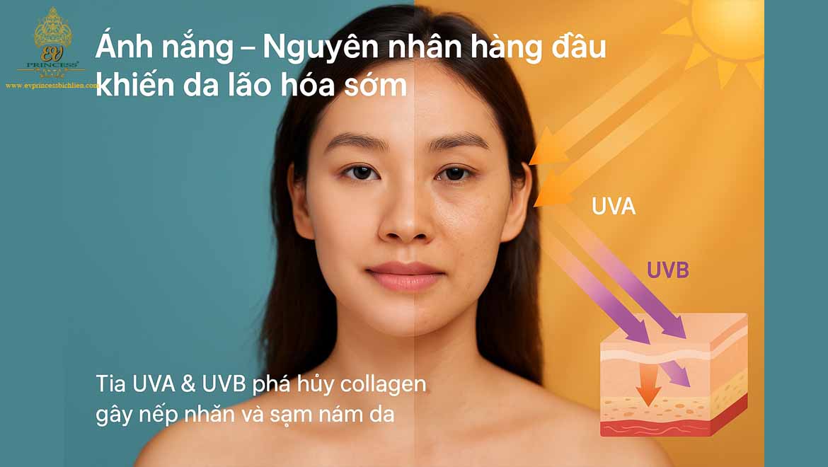 kem chong nang co vai tro gi trong chong lao hoa