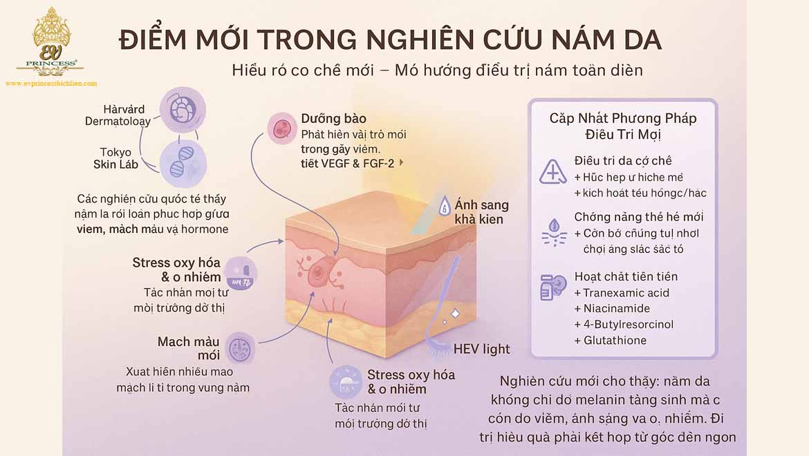 nam da hinh thanh do nguyen nhan nao