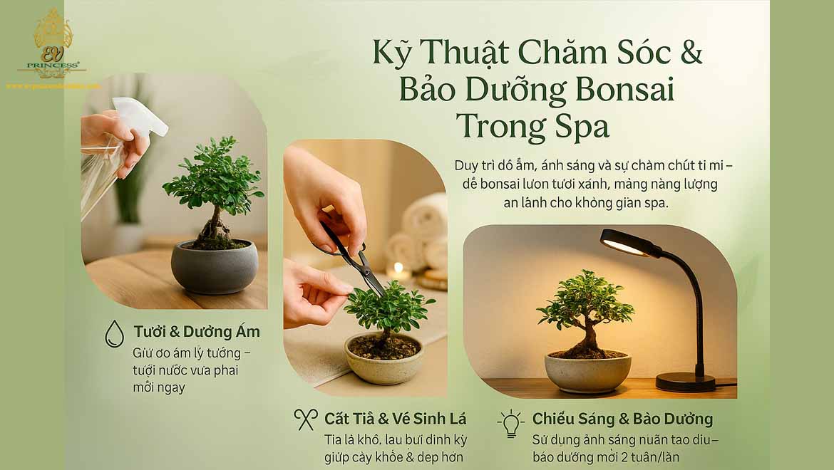 y tuong khong gian xanh spa voi bonsai