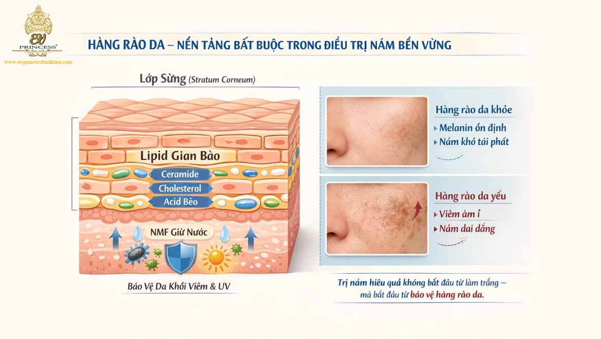 md cosmedi khong pha hang rao da