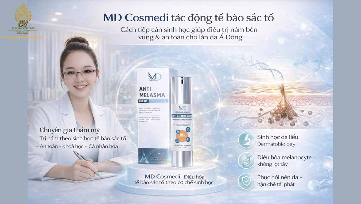 md cosmedi tac dong te bao sac to