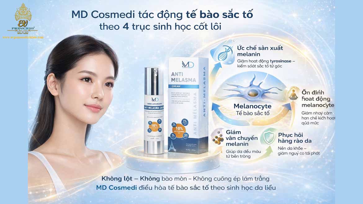 md cosmedi tac dong te bao sac to